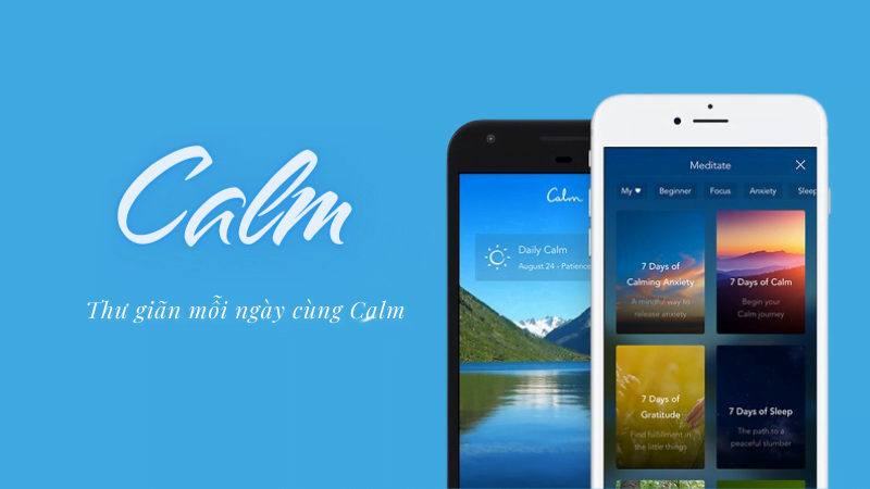 Calm Account (12 Months)