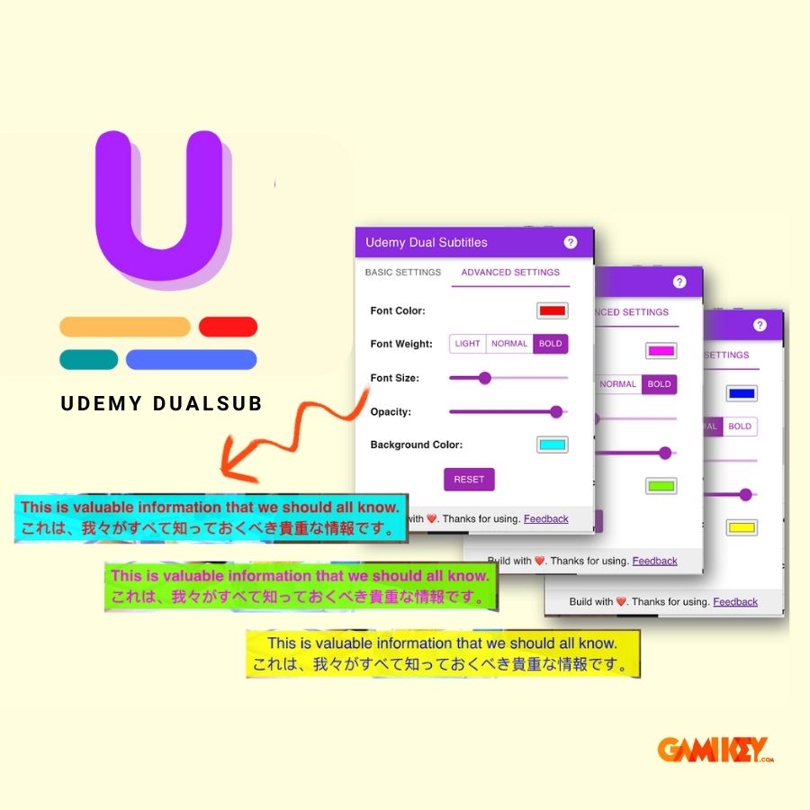 Nâng cấp Udemy Dual Subtitles 1 tháng — Dịch phụ đề