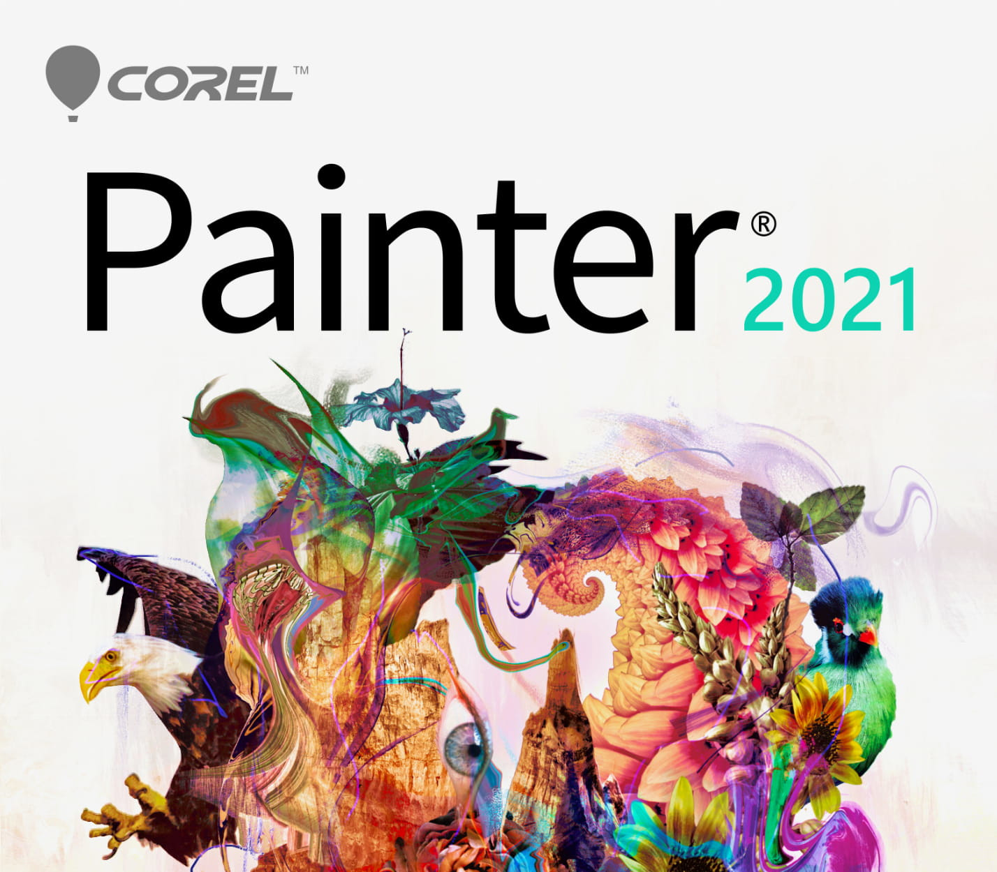 Key kích hoạt Corel Painter 2021 CD Key (3 PCs)
